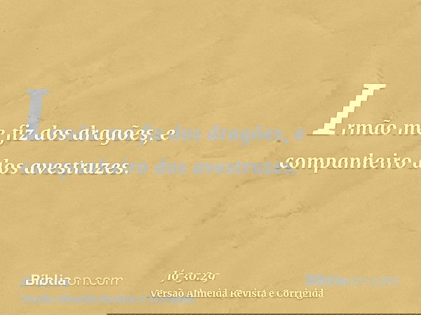 Irmão me fiz dos dragões, e companheiro dos avestruzes.