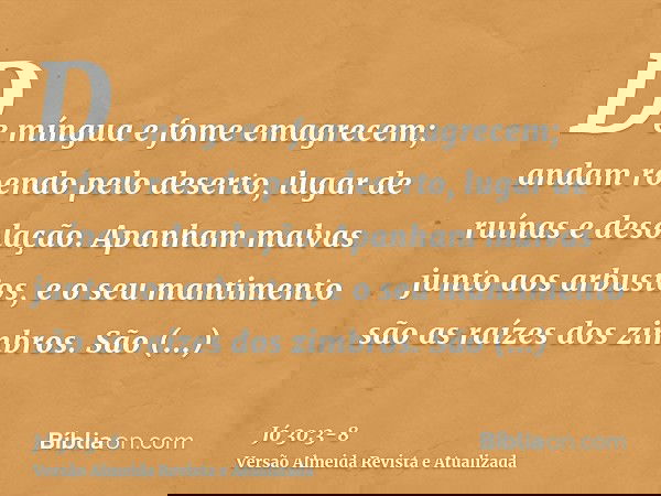 De míngua e fome emagrecem; andam roendo pelo deserto, lugar de ruínas e desolação.Apanham malvas junto aos arbustos, e o seu mantimento são as raízes dos zimbr