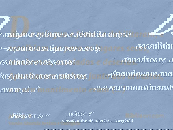 De míngua e fome se debilitaram; e recolhiam-se para os lugares secos, tenebrosos, assolados e desertos.Apanhavam malvas junto aos arbustos, e o seu mantimento