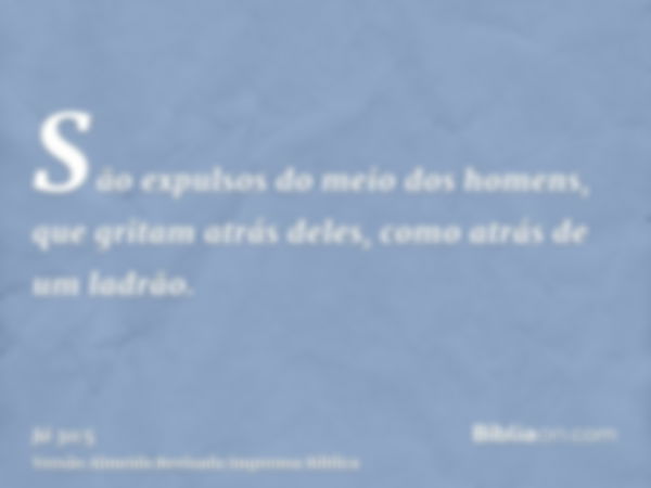 São expulsos do meio dos homens, que gritam atrás deles, como atrás de um ladrão.