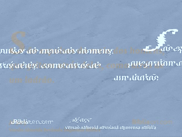 São expulsos do meio dos homens, que gritam atrás deles, como atrás de um ladrão.