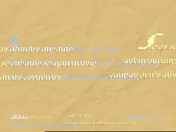 se os seus lombos me não abençoaram, se ele não se aquentava com as peles dos meus cordeiros;