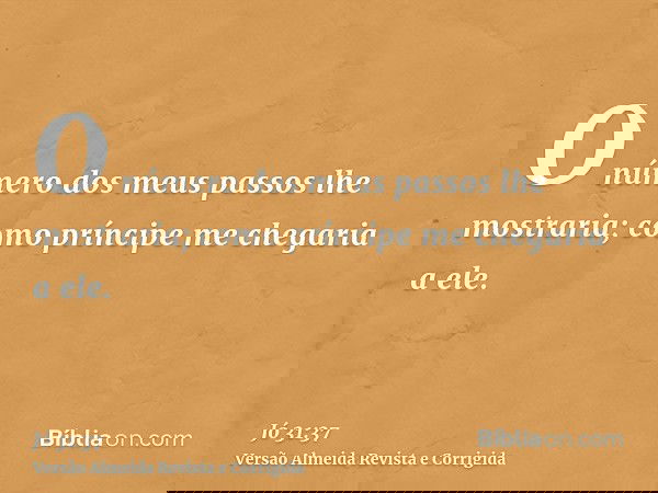 O número dos meus passos lhe mostraria; como príncipe me chegaria a ele.