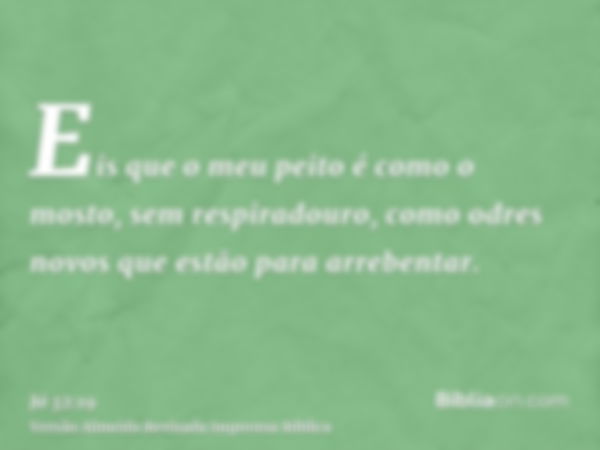 Eis que o meu peito é como o mosto, sem respiradouro, como odres novos que estão para arrebentar.