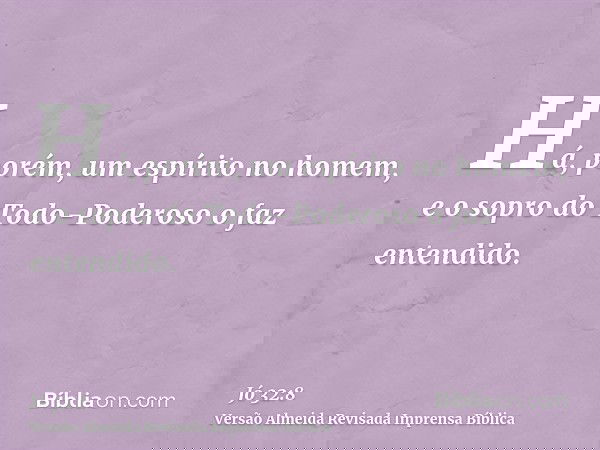 Há, porém, um espírito no homem, e o sopro do Todo-Poderoso o faz entendido.