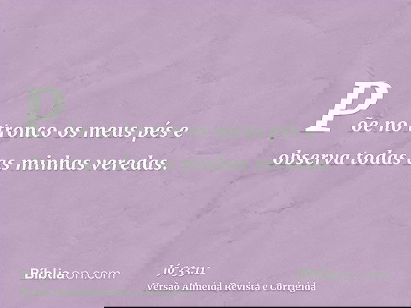 Põe no tronco os meus pés e observa todas as minhas veredas.