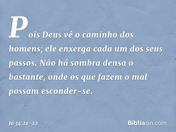 "Pois Deus vê o caminho
dos homens;
ele enxerga cada um dos seus passos. Não há sombra densa o bastante,
onde os que fazem o mal
possam esconder-se. -- Jó 34:21