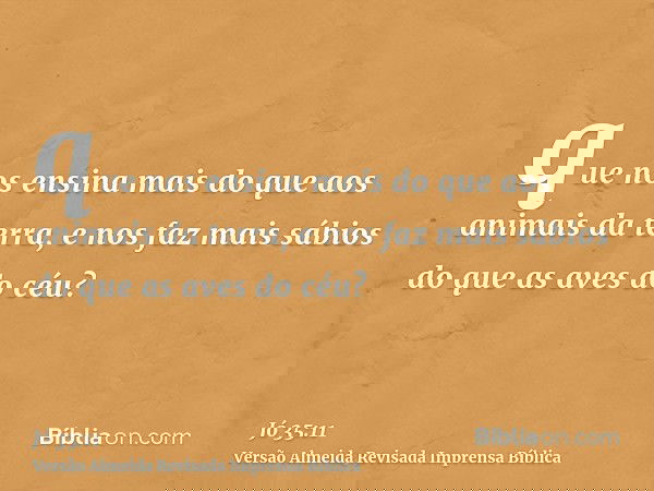 que nos ensina mais do que aos animais da terra, e nos faz mais sábios do que as aves do céu?