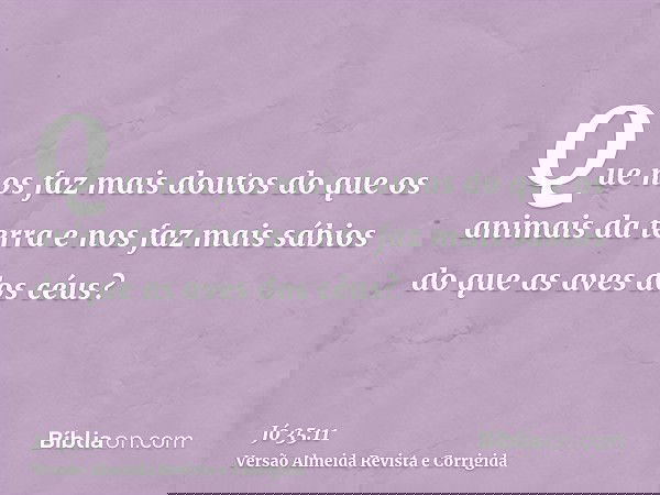 Que nos faz mais doutos do que os animais da terra e nos faz mais sábios do que as aves dos céus?
