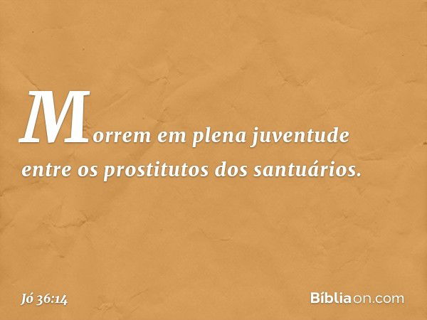 Morrem em plena juventude
entre os prostitutos dos santuários. -- Jó 36:14