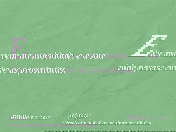 Eles morrem na mocidade, e a sua vida perece entre as prostitutas.