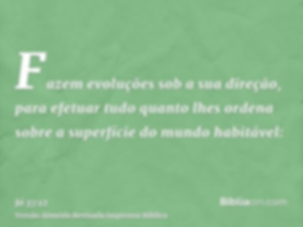 Fazem evoluções sob a sua direção, para efetuar tudo quanto lhes ordena sobre a superfície do mundo habitável: