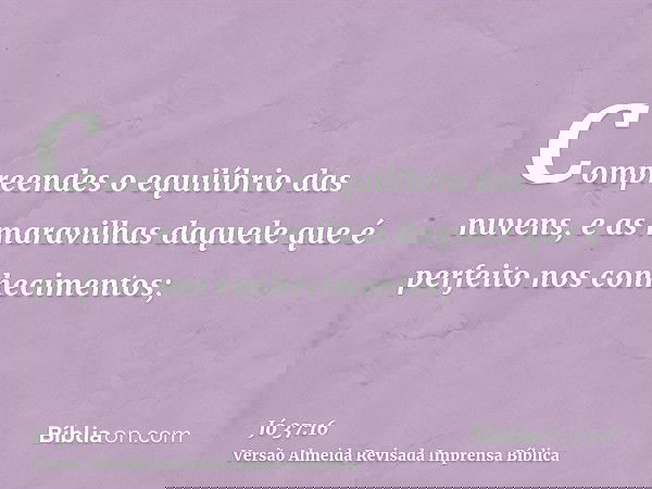 Compreendes o equilíbrio das nuvens, e as maravilhas daquele que é perfeito nos conhecimentos;