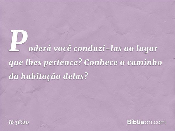 Poderá você conduzi-las
ao lugar que lhes pertence?
Conhece o caminho
da habitação delas? -- Jó 38:20