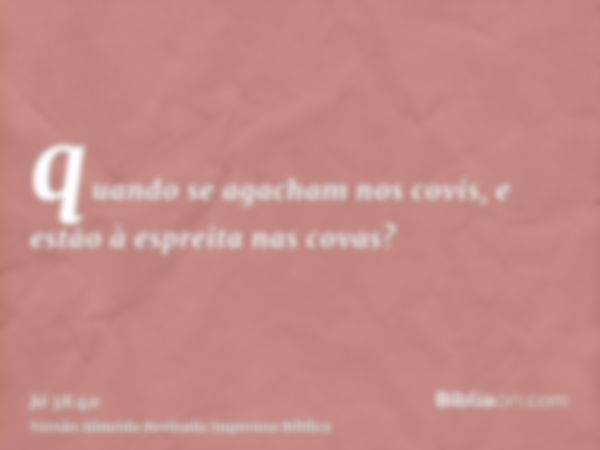 quando se agacham nos covis, e estão à espreita nas covas?