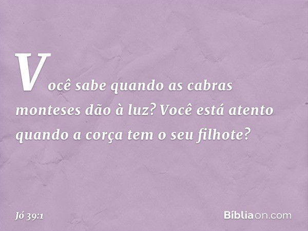 "Você sabe quando
as cabras monteses dão à luz?
Você está atento quando a corça
tem o seu filhote? -- Jó 39:1