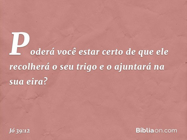 Poderá você estar certo
de que ele recolherá o seu trigo
e o ajuntará na sua eira? -- Jó 39:12