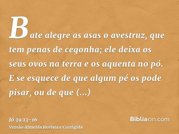 Bate alegre as asas o avestruz, que tem penas de cegonha;ele deixa os seus ovos na terra e os aquenta no pó.E se esquece de que algum pé os pode pisar, ou de qu