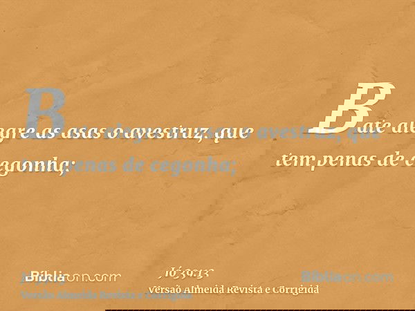 Bate alegre as asas o avestruz, que tem penas de cegonha;