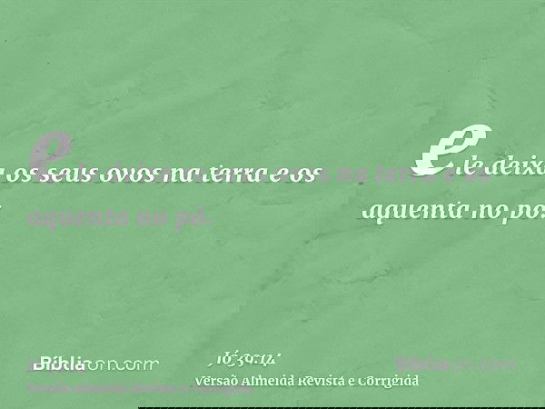 ele deixa os seus ovos na terra e os aquenta no pó.
