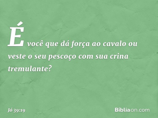 "É você que dá força ao cavalo
ou veste o seu pescoço
com sua crina tremulante? -- Jó 39:19