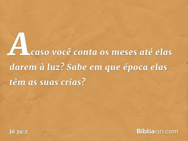 Acaso você conta os meses
até elas darem à luz?
Sabe em que época
elas têm as suas crias? -- Jó 39:2