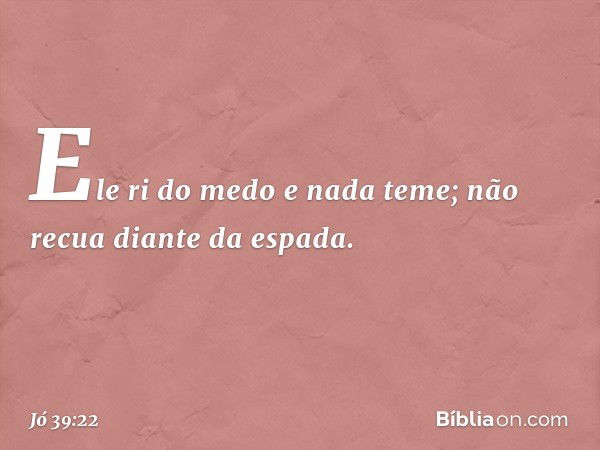 Ele ri do medo e nada teme;
não recua diante da espada. -- Jó 39:22