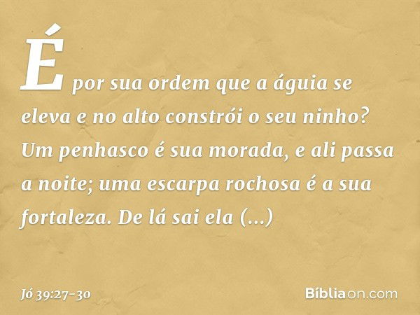 É por sua ordem
que a águia se eleva
e no alto constrói o seu ninho? Um penhasco é sua morada,
e ali passa a noite;
uma escarpa rochosa é a sua fortaleza. De lá