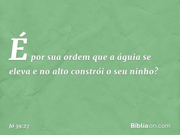 É por sua ordem
que a águia se eleva
e no alto constrói o seu ninho? -- Jó 39:27