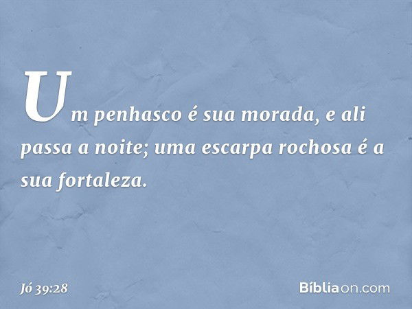 Um penhasco é sua morada,
e ali passa a noite;
uma escarpa rochosa é a sua fortaleza. -- Jó 39:28