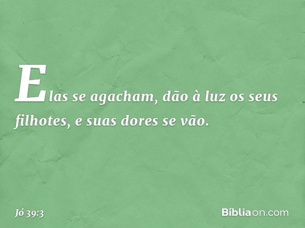 Elas se agacham,
dão à luz os seus filhotes,
e suas dores se vão. -- Jó 39:3