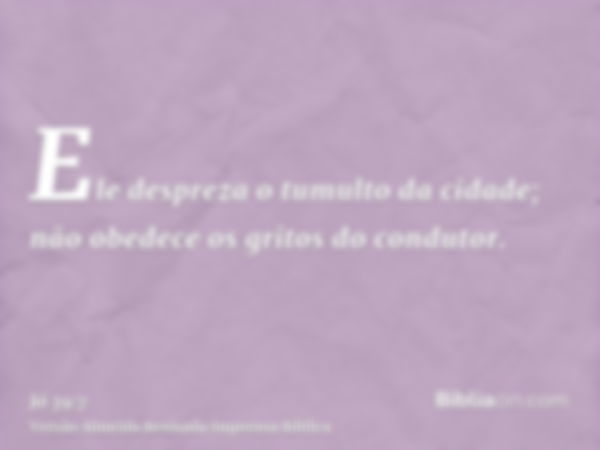 Ele despreza o tumulto da cidade; não obedece os gritos do condutor.