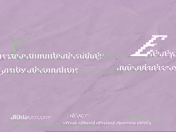 Ele despreza o tumulto da cidade; não obedece os gritos do condutor.