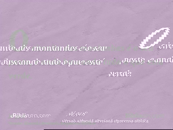 O circuito das montanhas é o seu pasto, e anda buscando tudo o que está verde.