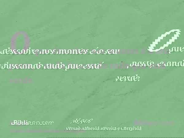 O que descobre nos montes é o seu pasto, e anda buscando tudo que está verde.