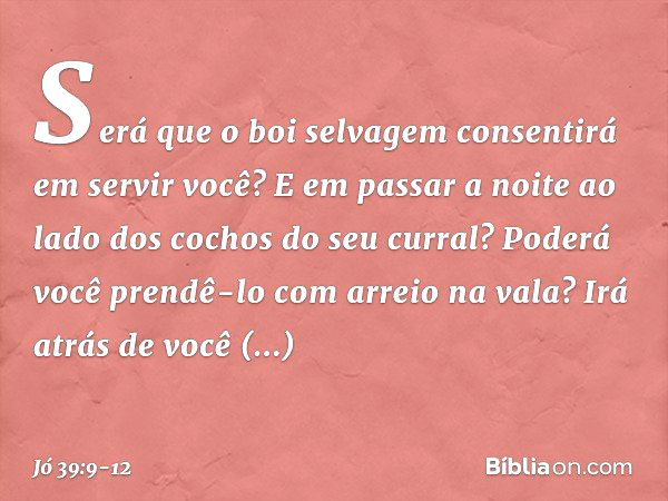 "Será que o boi selvagem consentirá
em servir você?
E em passar a noite ao lado dos cochos
do seu curral? Poderá você prendê-lo
com arreio na vala?
Irá atrás de