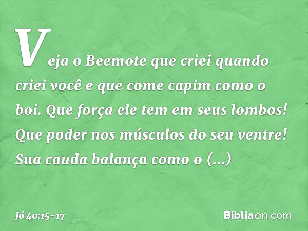 "Veja o Beemote
que criei quando criei você
e que come capim
como o boi. Que força ele tem em seus lombos!
Que poder nos músculos
do seu ventre! Sua cauda balan