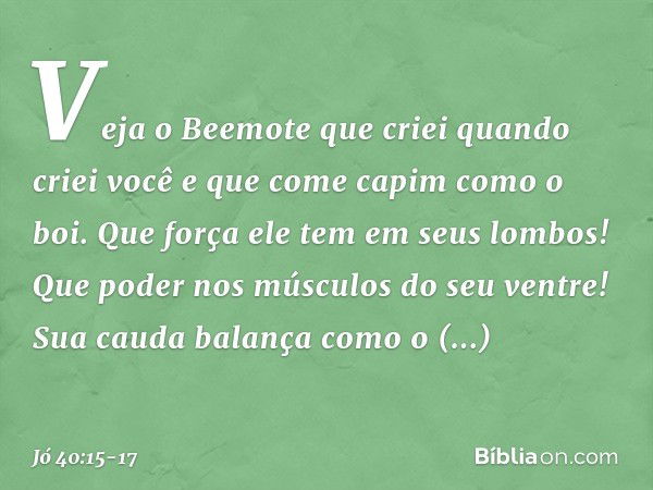 "Veja o Beemote
que criei quando criei você
e que come capim
como o boi. Que força ele tem em seus lombos!
Que poder nos músculos
do seu ventre! Sua cauda balan