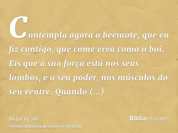 Contempla agora o beemote, que eu fiz contigo, que come erva como o boi.Eis que a sua força está nos seus lombos, e o seu poder, nos músculos do seu ventre.Quan