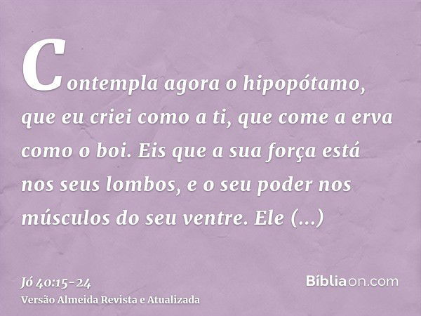 Contempla agora o hipopótamo, que eu criei como a ti, que come a erva como o boi.Eis que a sua força está nos seus lombos, e o seu poder nos músculos do seu ven