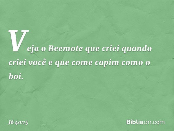 "Veja o Beemote
que criei quando criei você
e que come capim
como o boi. -- Jó 40:15