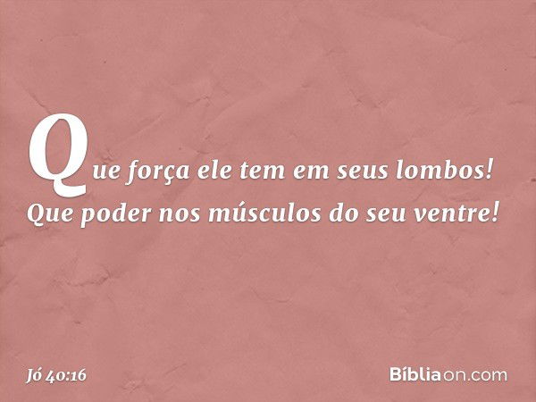 Que força ele tem em seus lombos!
Que poder nos músculos
do seu ventre! -- Jó 40:16