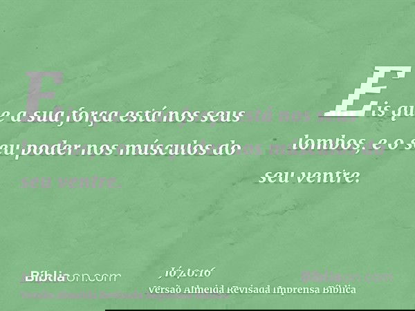 Eis que a sua força está nos seus lombos, e o seu poder nos músculos do seu ventre.