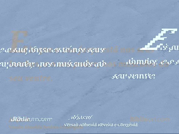 Eis que a sua força está nos seus lombos, e o seu poder, nos músculos do seu ventre.