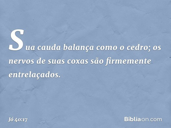 Sua cauda balança como o cedro;
os nervos de suas coxas
são firmemente entrelaçados. -- Jó 40:17