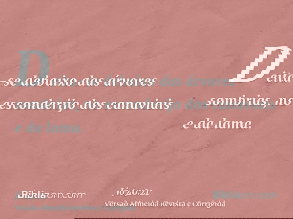 Deita-se debaixo das árvores sombrias, no esconderijo dos canaviais e da lama.