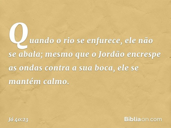 Quando o rio se enfurece,
ele não se abala;
mesmo que o Jordão
encrespe as ondas
contra a sua boca,
ele se mantém calmo. -- Jó 40:23