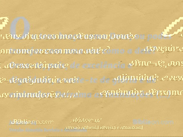 Ou tens braço como Deus; ou podes trovejar com uma voz como a dele?Orna-te, pois, de excelência e dignidade, e veste-te de glória e de esplendor.Derrama as inun