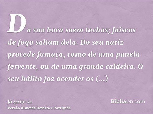 Da sua boca saem tochas; faíscas de fogo saltam dela.Do seu nariz procede fumaça, como de uma panela fervente, ou de uma grande caldeira.O seu hálito faz acende