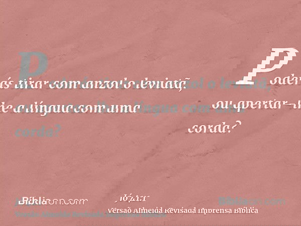 Poderás tirar com anzol o leviatã, ou apertar-lhe a língua com uma corda?